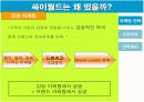싸이월드 마케팅전략분석 19페이지