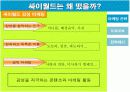 싸이월드 마케팅전략분석 20페이지