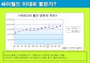 싸이월드 마케팅전략분석 23페이지