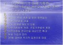 경제기획원과 한국경제 16페이지