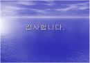 경제기획원과 한국경제 20페이지