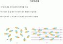 축전기와유전체 발표 12페이지