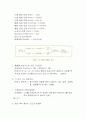 열처리정리 42페이지