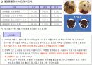 애완동물(Pet) 마케팅  11페이지