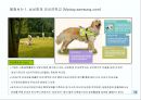 애완동물(Pet) 마케팅  26페이지
