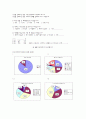 대한민국 토종 와인 마주앙, 국내 와인 시장 점유율 30% 달성하라!! 9페이지