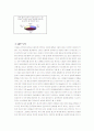 식품 과대 광고의 실상 분석 및 제언 7페이지