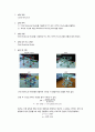 결정 구조 1페이지