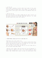 성체줄기세포 4페이지