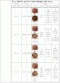 햄버거 제조 시 고기의 배합비율에 따른 기호적 특성 3페이지