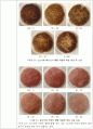 햄버거 제조 시 고기의 배합비율에 따른 기호적 특성 6페이지