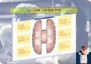 남자와 여자의 대화 5페이지