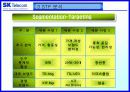 SKT 마케팅전략[A+] 10페이지