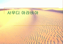 사우디 아라비아 분석 자료 1페이지