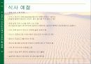 사우디 아라비아 분석 자료 14페이지