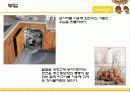 주택과 실내 디자인 - Design 을 넣어라 11페이지