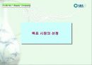 SBS美 브랜드 런칭전략제안서 24페이지