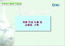SBS美 브랜드 런칭전략제안서 36페이지