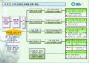SBS美 브랜드 런칭전략제안서 46페이지