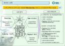 SBS美 브랜드 런칭전략제안서 54페이지