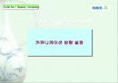SBS美 브랜드 런칭전략제안서 75페이지