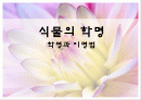 식물의 학명 1페이지