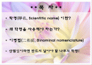 식물의 학명 2페이지