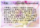식물의 학명 5페이지