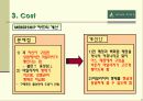 BEAN POLE의 스테디셀러 브랜드화를 위한 마케팅 전략 19페이지