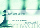 청년기의 성(性)문화 1페이지