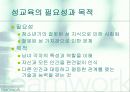 청년기의 성(性)문화 14페이지