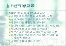 청년기의 성(性)문화 15페이지