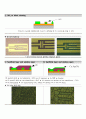 RF MEMS switch 6페이지