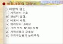 행정개혁 및 미래 개혁의 방향 14페이지