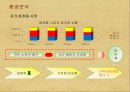 [소비자행동론]이니스프리 마케팅전략 제안서 (A+리포트) 12페이지