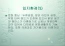 [개발사례]대구 달서구 재개발,재건축사업 조사(수지분석~분양가산정까지) 13페이지