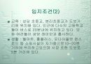 [개발사례]대구 달서구 재개발,재건축사업 조사(수지분석~분양가산정까지) 37페이지