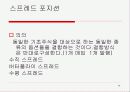 [옵션]옵션에 관한PPT 19페이지