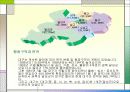 아파트 개발, ppt 사례(대구동구) ,직접만듬, 시장성분석등//여러가지분석~마케팅까지 4페이지
