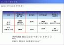 [개발사례]사업지타당성분석 계획서(대구신기동)아파트개발 18페이지
