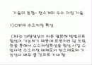 수소의 저장 기술 8페이지