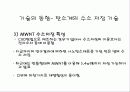 수소의 저장 기술 10페이지