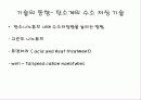 수소의 저장 기술 11페이지