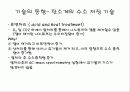 수소의 저장 기술 13페이지
