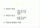 석탄의 특성 및 연소 2페이지