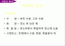 석탄의 특성 및 연소 8페이지