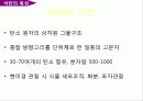 석탄의 특성 및 연소 12페이지