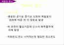 석탄의 특성 및 연소 14페이지