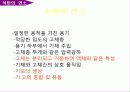 석탄의 특성 및 연소 18페이지