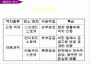 석탄의 특성 및 연소 20페이지